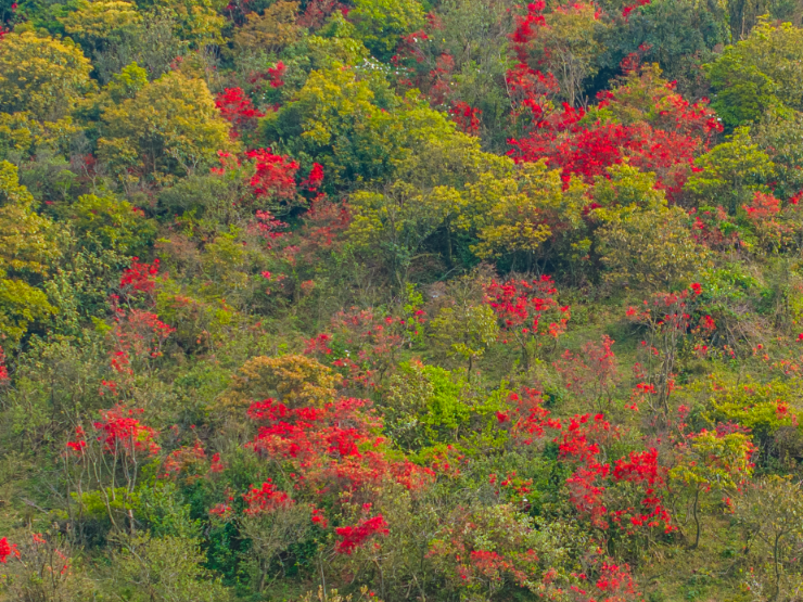 图片加载失败……