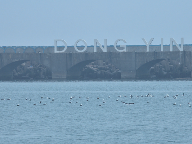 图片加载失败……