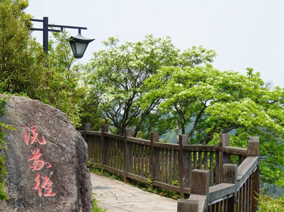 图片加载失败……