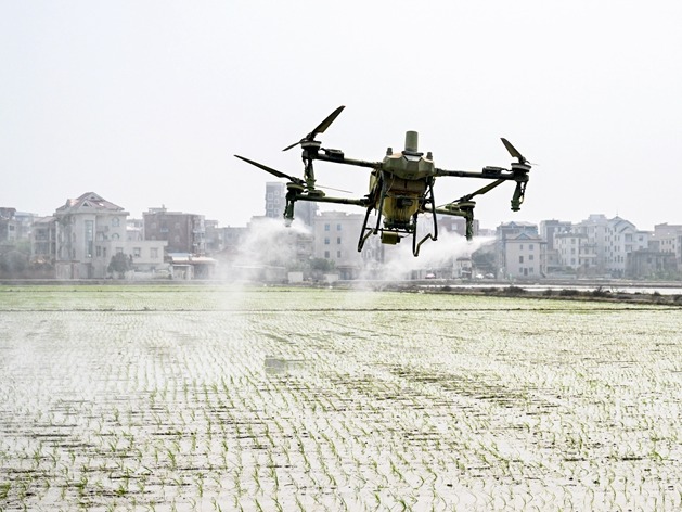 图片加载失败……