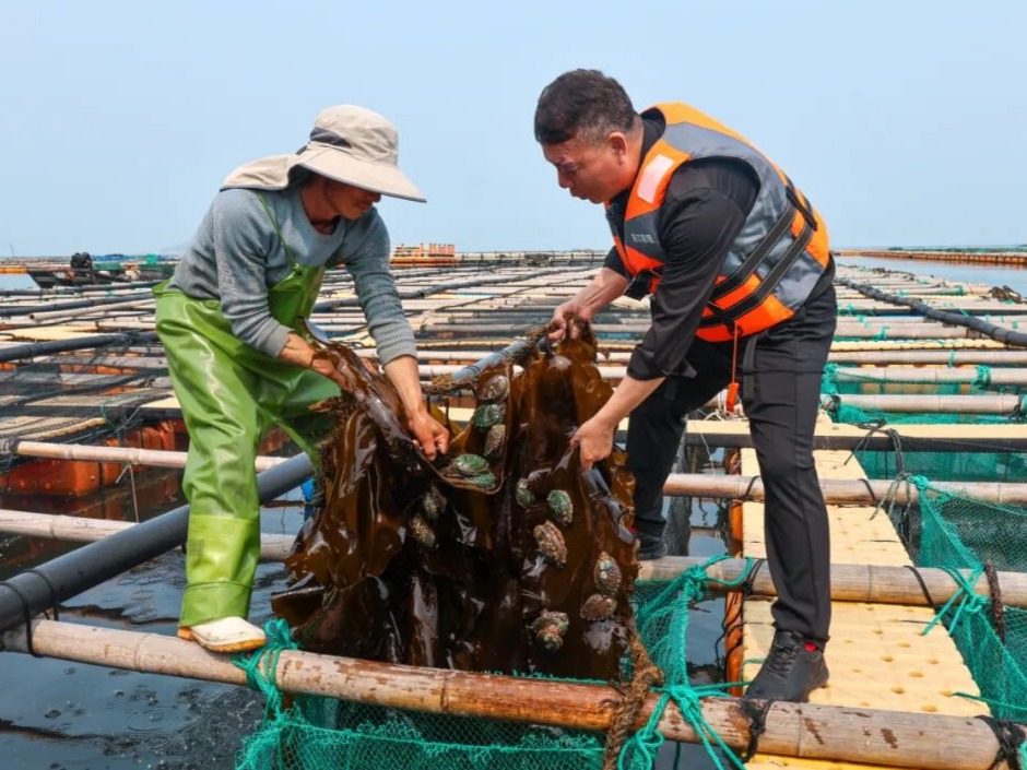 图片加载失败……