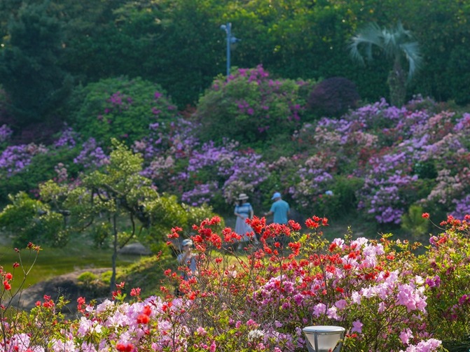 图片加载失败……