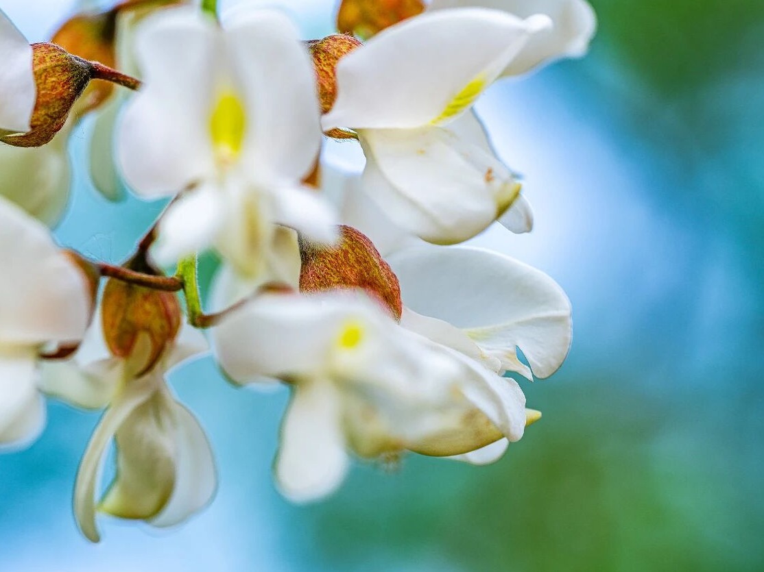 图片加载失败……