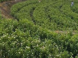 图片加载失败……