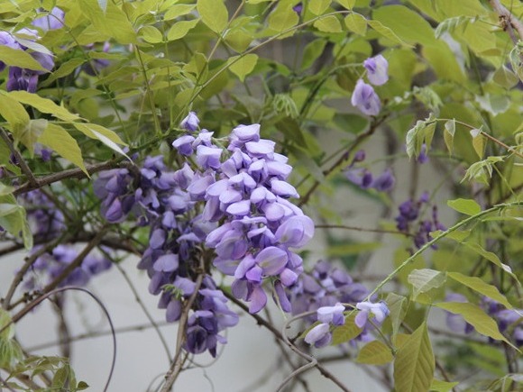 图片加载失败……