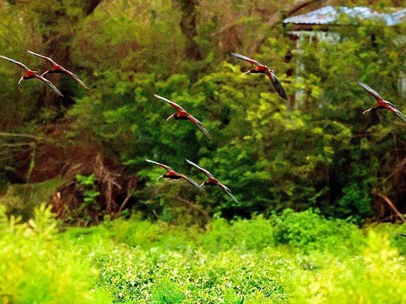 图片加载失败……