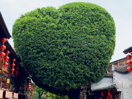 图片加载失败……