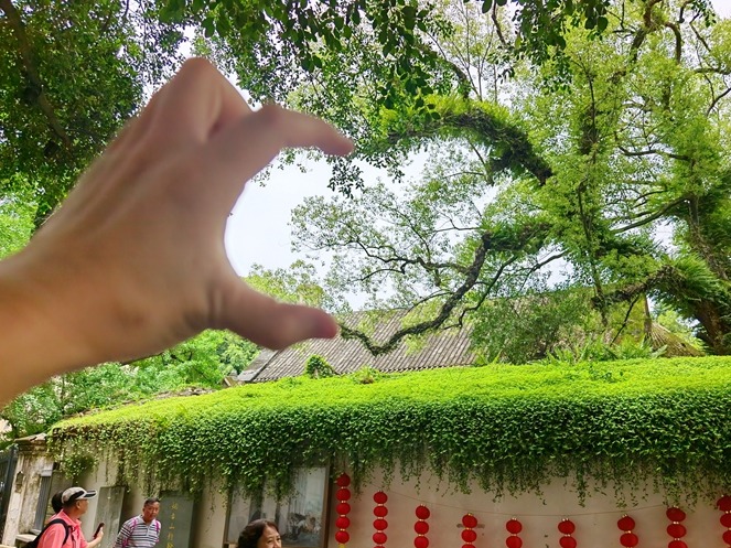 图片加载失败……