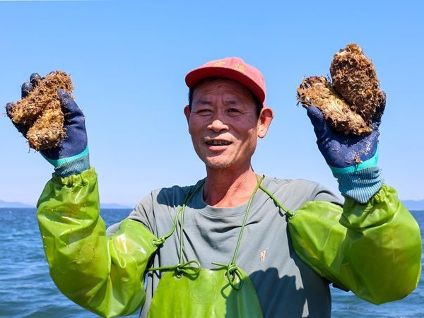 图片加载失败……