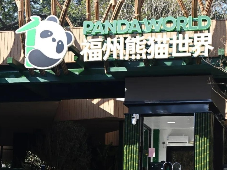图片加载失败……