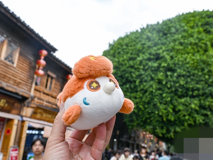 图片加载失败……