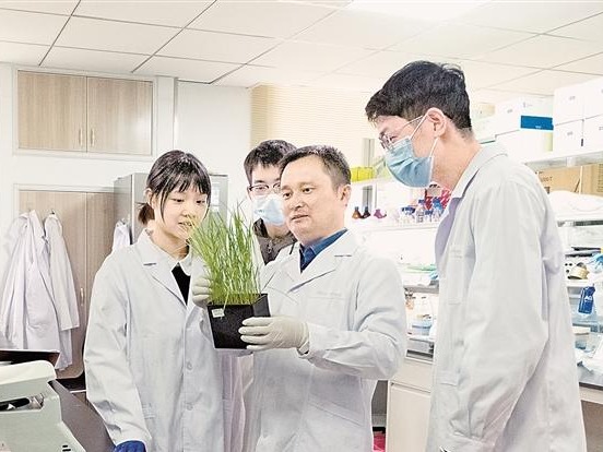 图片加载失败……