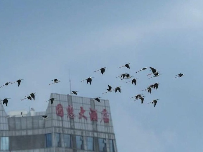 图片加载失败……