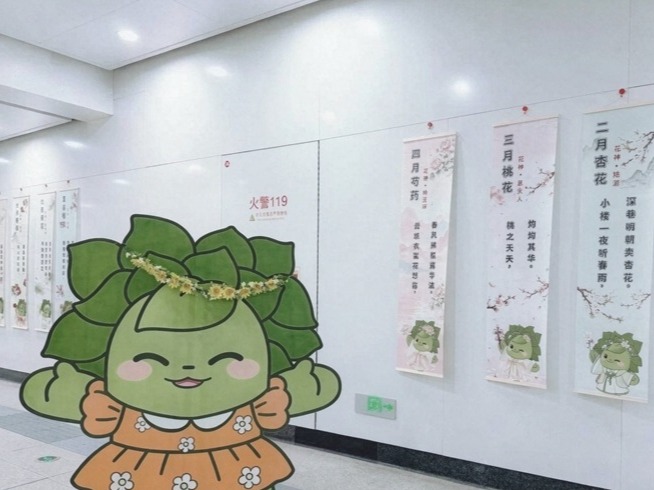 图片加载失败……