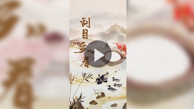 刮目“乡”看｜土鸭“飞”出高山 走向小康路