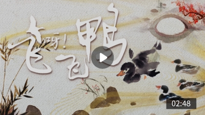 说出来你也许不信，这才是福州真正的土鸭！