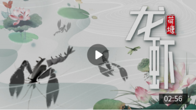 “吃货”的最高境界——斥巨资上深山养小龙虾