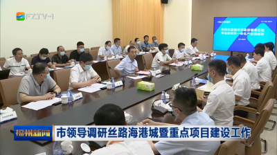 市领导调研丝路海港城暨重点项目建设工作