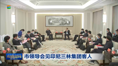 市领导会见印尼三林集团客人