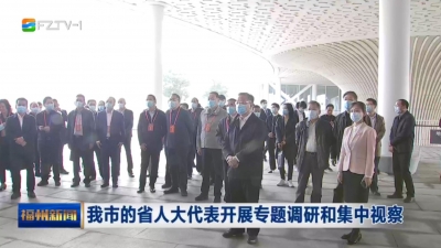我市的省人大代表开展专题调研和集中视察