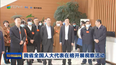 我省全国人大代表在榕开展视察活动