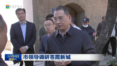 市领导调研苍霞新城