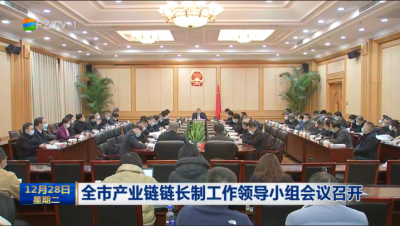 全市产业链链长制工作领导小组会议召开