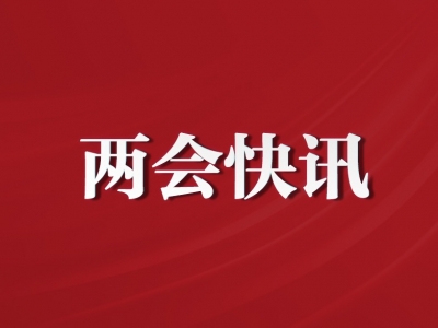 吳賢德參加市政協十四屆一次會議分組討論