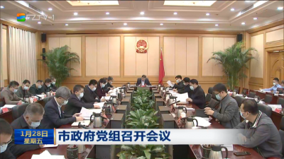 市政府党组召开会议