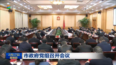 市政府党组召开会议