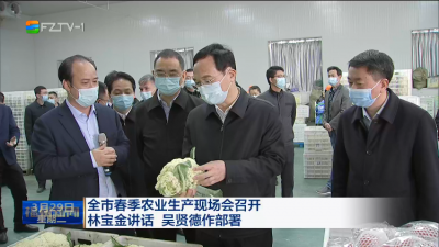 全市春季农业生产现场会召开  林宝金讲话 吴贤德作部署  扛牢粮食安全政治责任 守好百姓“米袋子”“菜篮子”