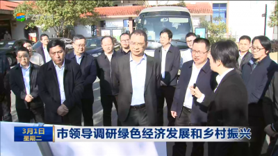 市领导调研绿色经济发展和乡村振兴