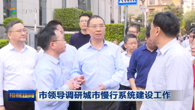 市领导调研城市慢行系统建设工作