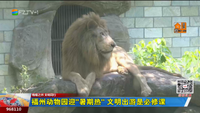 福州动物园迎“暑期热” 文明出游是必修课