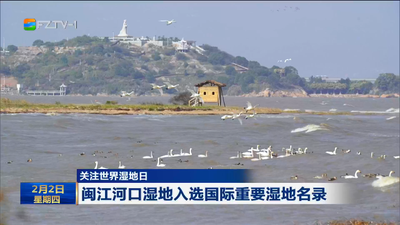 关注世界湿地日 闽江河口湿地入选国际重要湿地名录