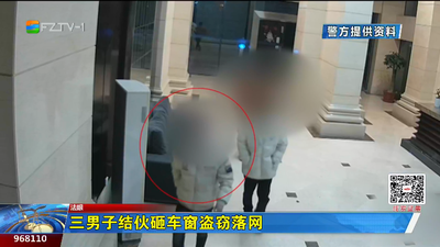 三男子结伙砸车窗盗窃落网