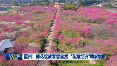 福州：鲜花绽放春意盎然 “花海经济”助农增收