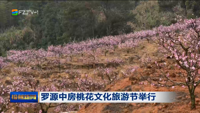 罗源中房桃花文化旅游节举行