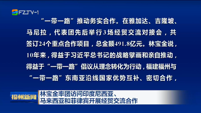 林宝金率团访问印度尼西亚、马来西亚和菲律宾开展经贸交流合作 落实“一带一路”倡议 推动“两国双园”建设 加快构筑开放型经济发展新优势