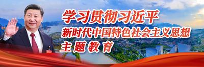 学习贯彻习近平新时代中国特色社会主义思想主题教育