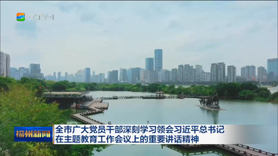 全市广大党员干部深刻学习领会习近平总书记在主题教育工作会议上的重要讲话精神