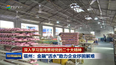 深入学习宣传贯彻党的二十大精神 福州：金融“活水”助力企业纾困解难