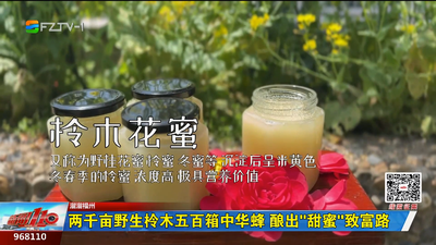 溜溜福州：两千亩野生柃木五百箱中华蜂 酿出“甜蜜”致富路