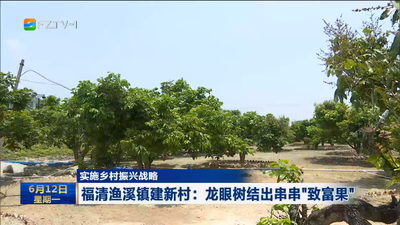 实施乡村振兴战略 福清渔溪镇建新村：龙眼树结出串串“致富果”