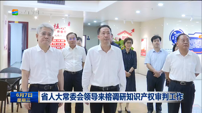 省人大常委会领导来榕调研知识产权审判工作