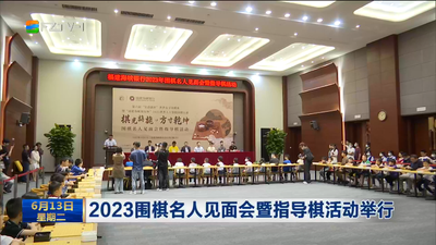 2023围棋名人见面会暨指导棋活动举行