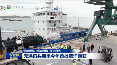 党建领航 经济领跑 民生领先 元洪码头迎来今年首批远洋渔获