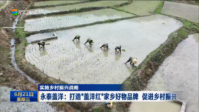 实施乡村振兴战略 永泰盖洋：打造“盖洋红”家乡好物品牌 促进乡村振兴