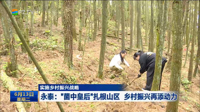 实施乡村振兴战略 永泰：“菌中皇后”扎根山区 乡村振兴再添动力