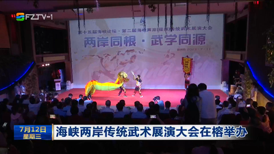 海峡两岸传统武术展演大会在榕举办 